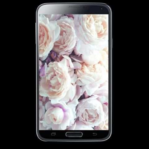 موسوعة صور ورود screenshot 8