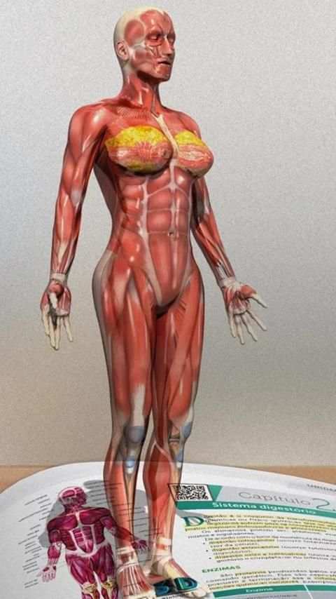 DCL 3D Biologia 1 screenshot 3