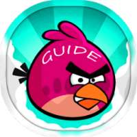 Guide for Angry Birds