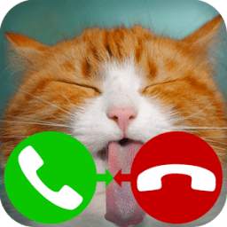 fake call cat 2