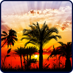 Sunset HD Live Wallpaper आइकन
