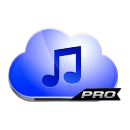 Music-Paradise+Download Pro иконка
