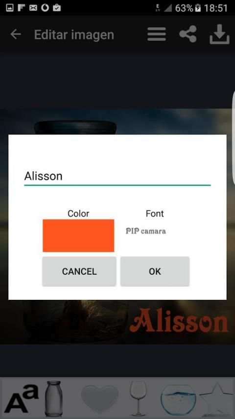 PIP camara editor de fotos скриншот 3