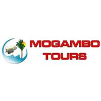 Mogambo Tours