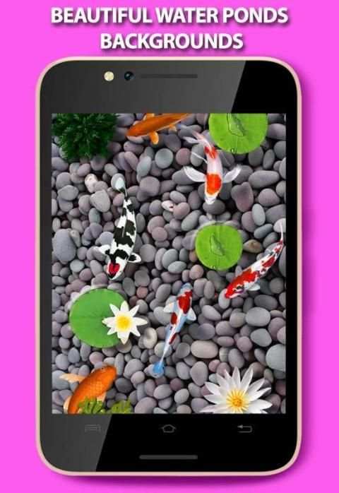 Fishes In Pond Live Wallpaper स्क्रीनशॉट 5