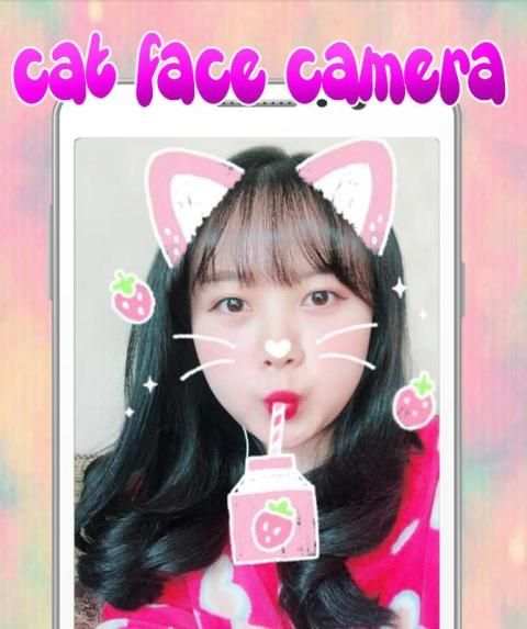Snapcat Cat Face Camera screenshot 3