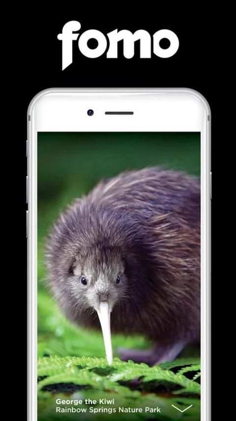 FOMO Guide Rotorua скриншот 4