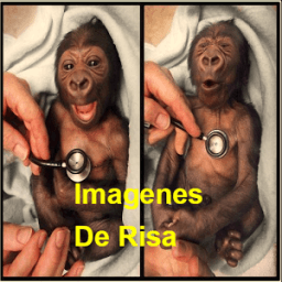 Imagenes de risa icon