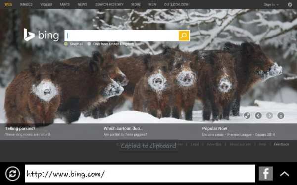 PC Browser Mini स्क्रीनशॉट 3
