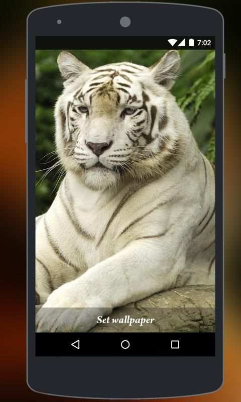 Tiger Live Wallpaper स्क्रीनशॉट 3