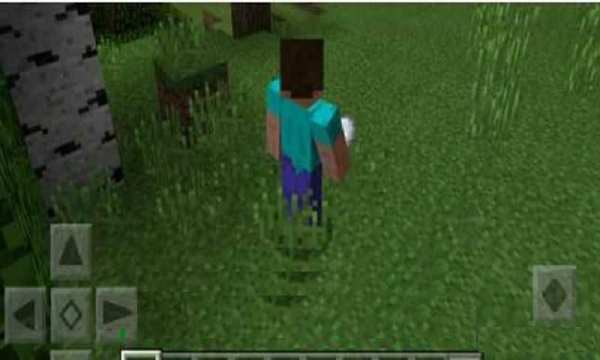 Endermites Mod for MCPE screenshot 1