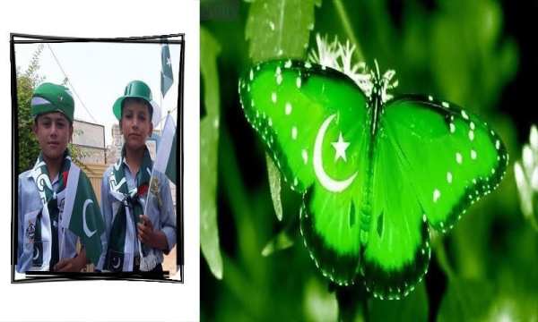 Pak Jashn e Azadi Photo Frame screenshot 4
