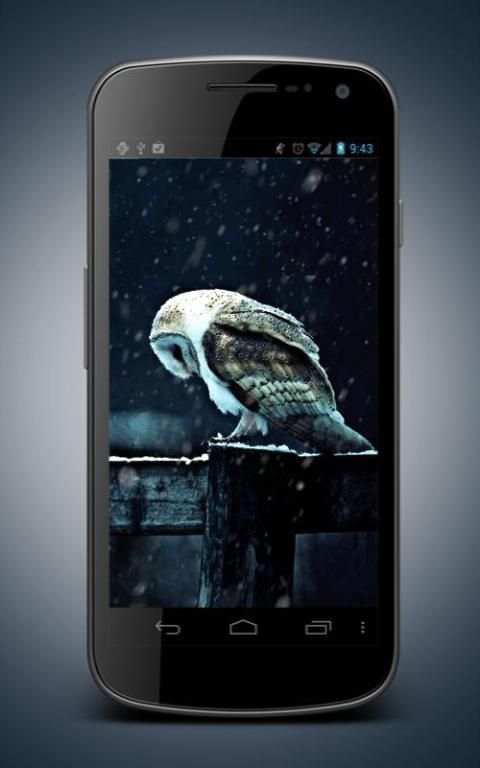 Hedwig Owl Animated Wallpaper स्क्रीनशॉट 2