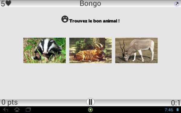 Animaux Quiz screenshot 11