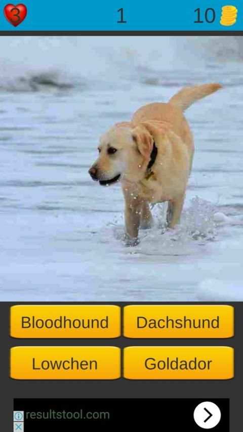 Dog Breeds Game: Dog Names screenshot 11