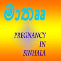Pregnancy Sinhalen
