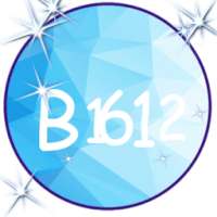 B1612 Pro Effect