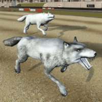 Wild Wolf Racing Game आइकन