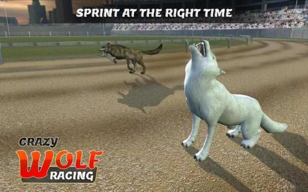 Wild Wolf Racing Game स्क्रीनशॉट 3