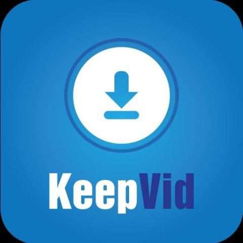 GUIDE keepVid screenshot 1