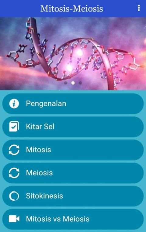 Mitosis-Meiosis скриншот 7