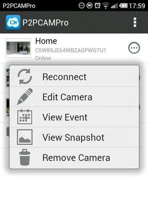 P2PCAMPro screenshot 2
