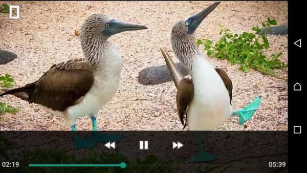 4K Video Player screenshot 1