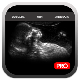 ikon Pregnancy Test Simulator