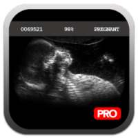 Pregnancy Test Simulator