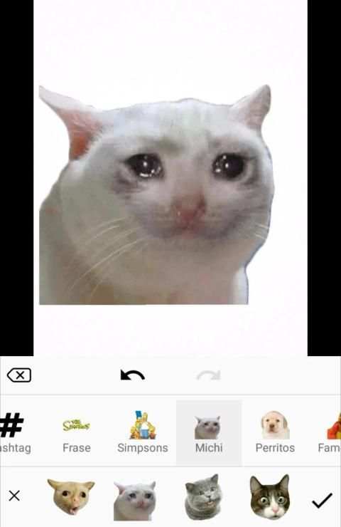 Photo Stickers Memes screenshot 5