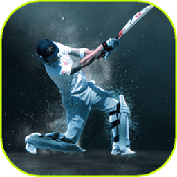 Tricks of Sachin Saga Cricket icon