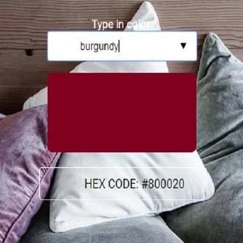 Text To Colour App screenshot 3
