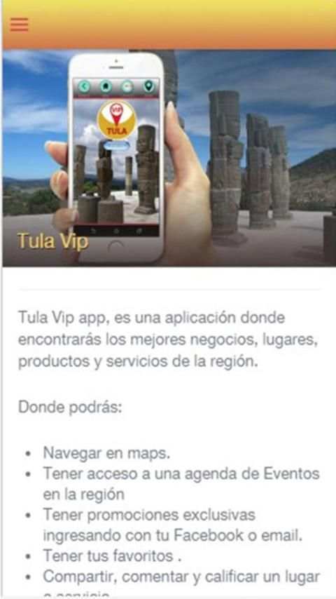 TULA VIP screenshot 8