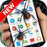 Spider On Screen - Funny Prank