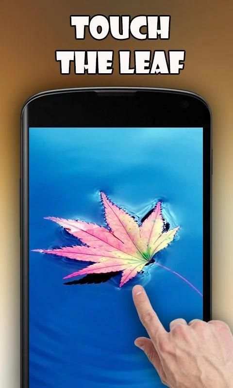 Autumn leaves Live Wallpaper screenshot 4