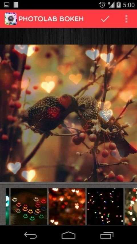 PhotoLab-Bokeh Editor Pro स्क्रीनशॉट 3