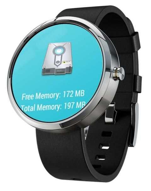 Memory Info for Wear скриншот 1