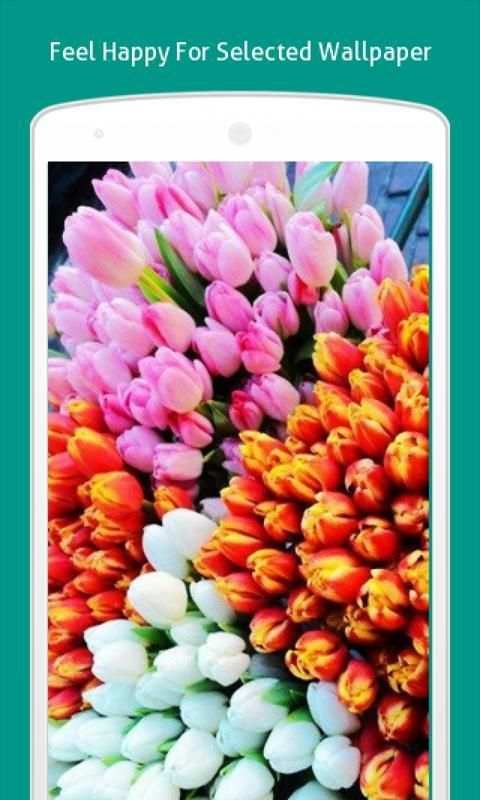 Flower Wallpapers HD screenshot 1