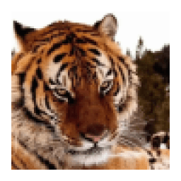 Tiger Wallpapers иконка