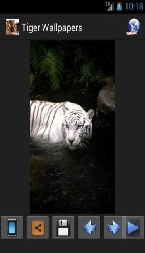 Tiger Wallpapers скриншот 1