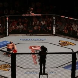 MMA News आइकन