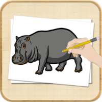 How To Draw Wild Animals