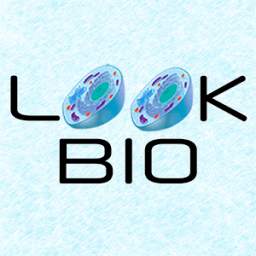 LookBio 1.1