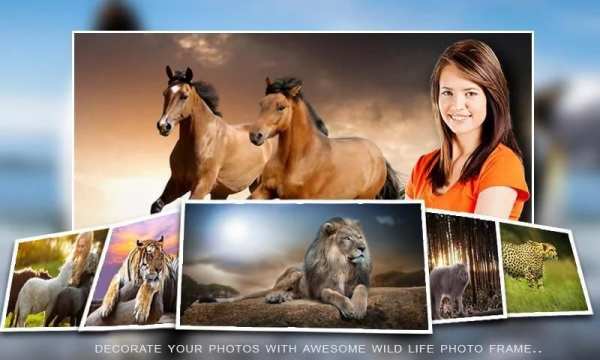 Wild Life Photo Editor скриншот 1