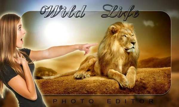 Wild Life Photo Editor скриншот 3