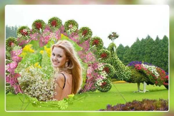 Garden Photo Frame स्क्रीनशॉट 4