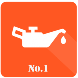 ikon Oil Light Service Reset Pro