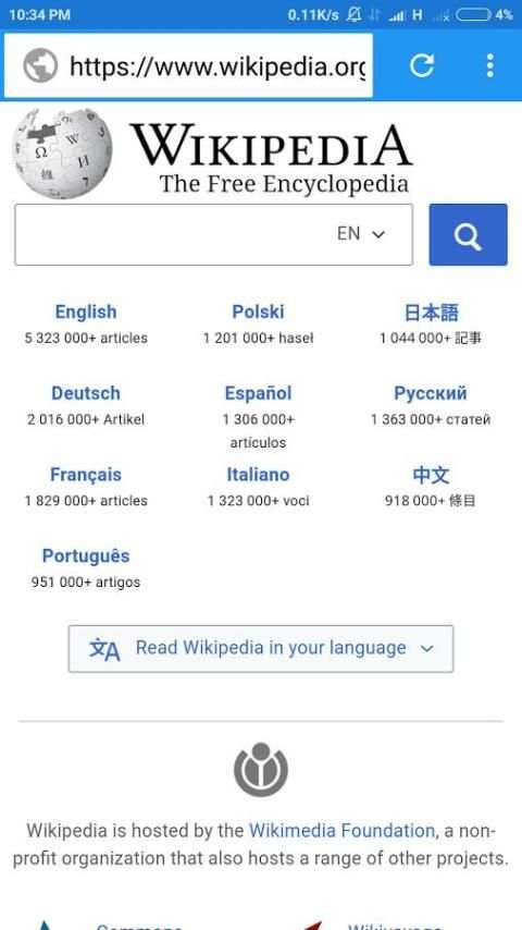 Web browser screenshot 1