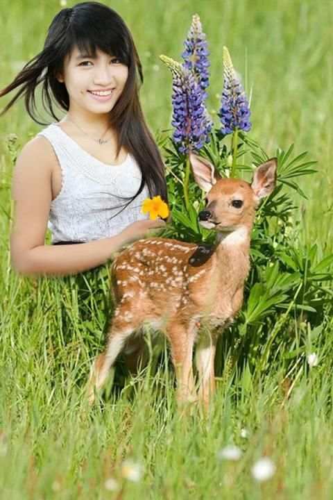 Wildlife Photo Frames скриншот 3