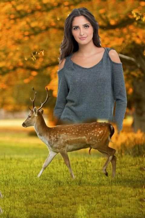 Wildlife Photo Frames скриншот 2